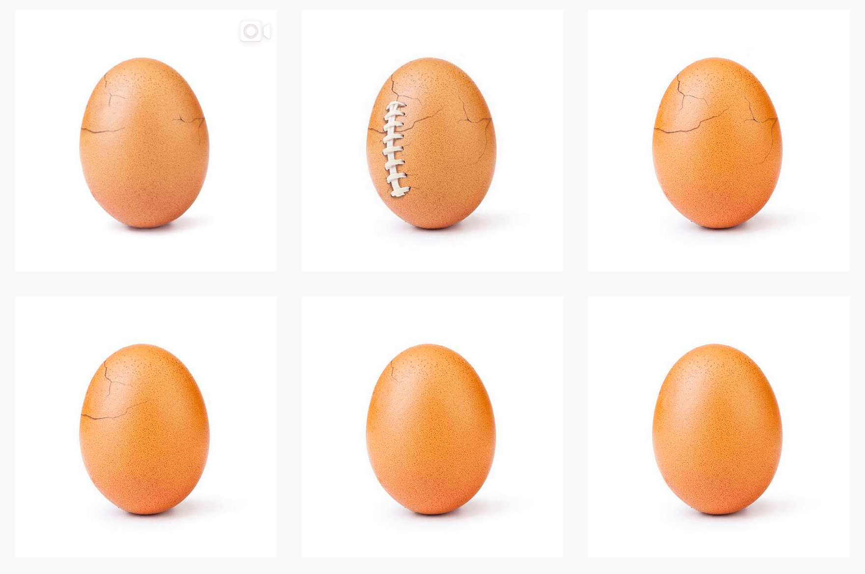 Самое популярное яйцо