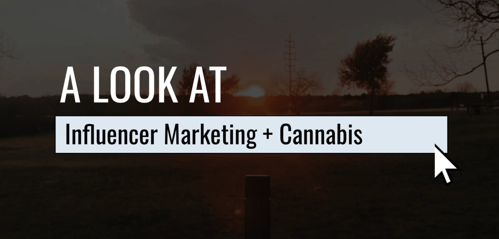 How Influencer Marketing and CBD Is Coming Together on National CBD Day 