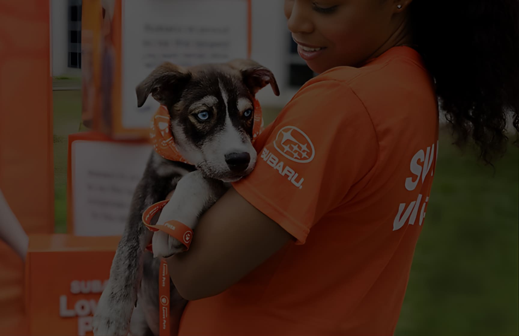 bg-subaru-makes-a-dog-day-carousel-full