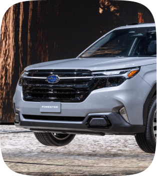 img-end-to-end-program-02